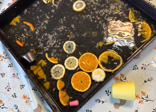 Sensorik Kurs für KrabbelZwerge ab August